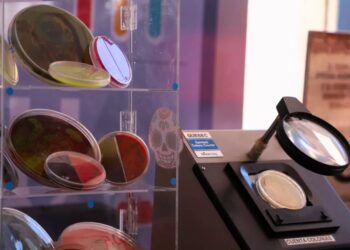 UAQ: seguridad alimentaria