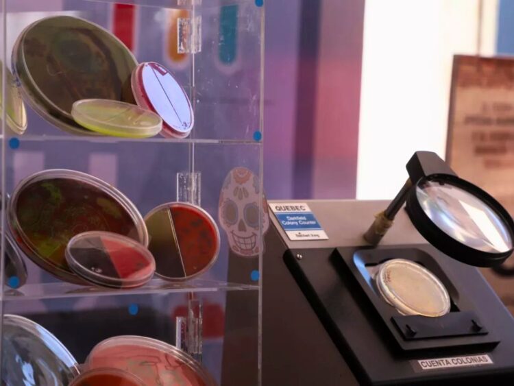 UAQ: seguridad alimentaria