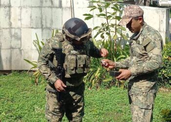 Breves informativas de estados