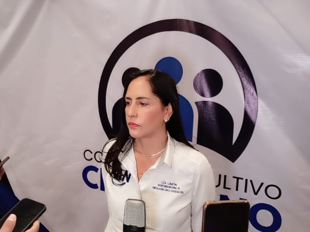 Breves informativas de estados