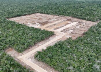 Breves informativas de estados