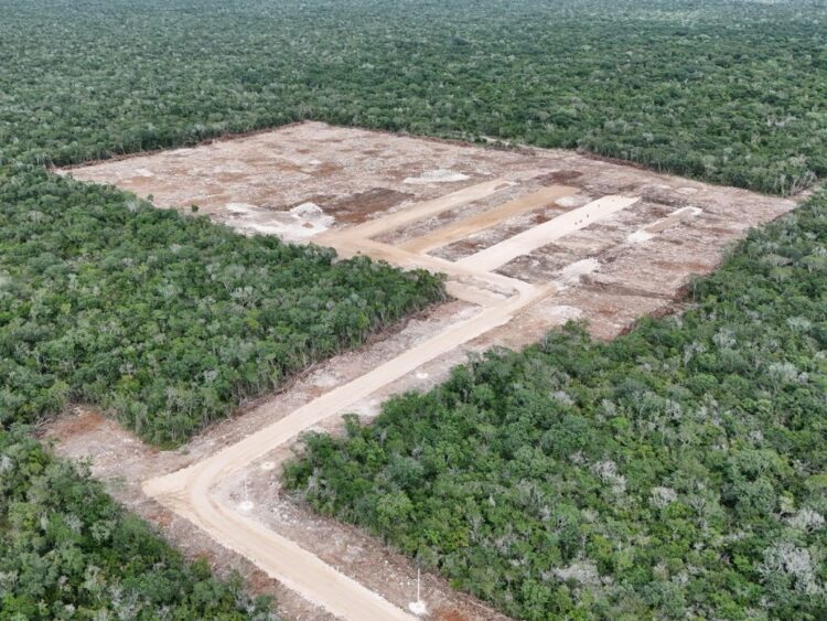 Breves informativas de estados