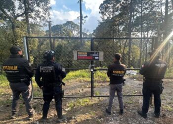 Breves informativas de estados