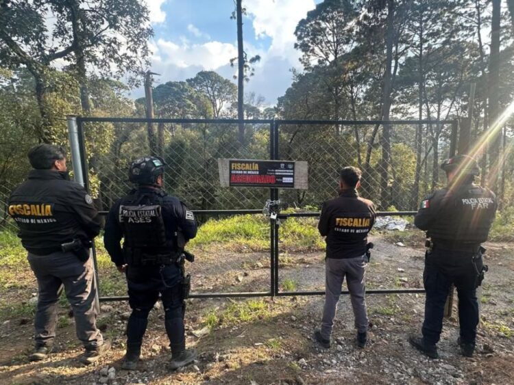 Breves informativas de estados