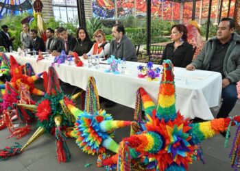 Breves informativas de estados