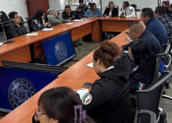 Breves informativas de estados