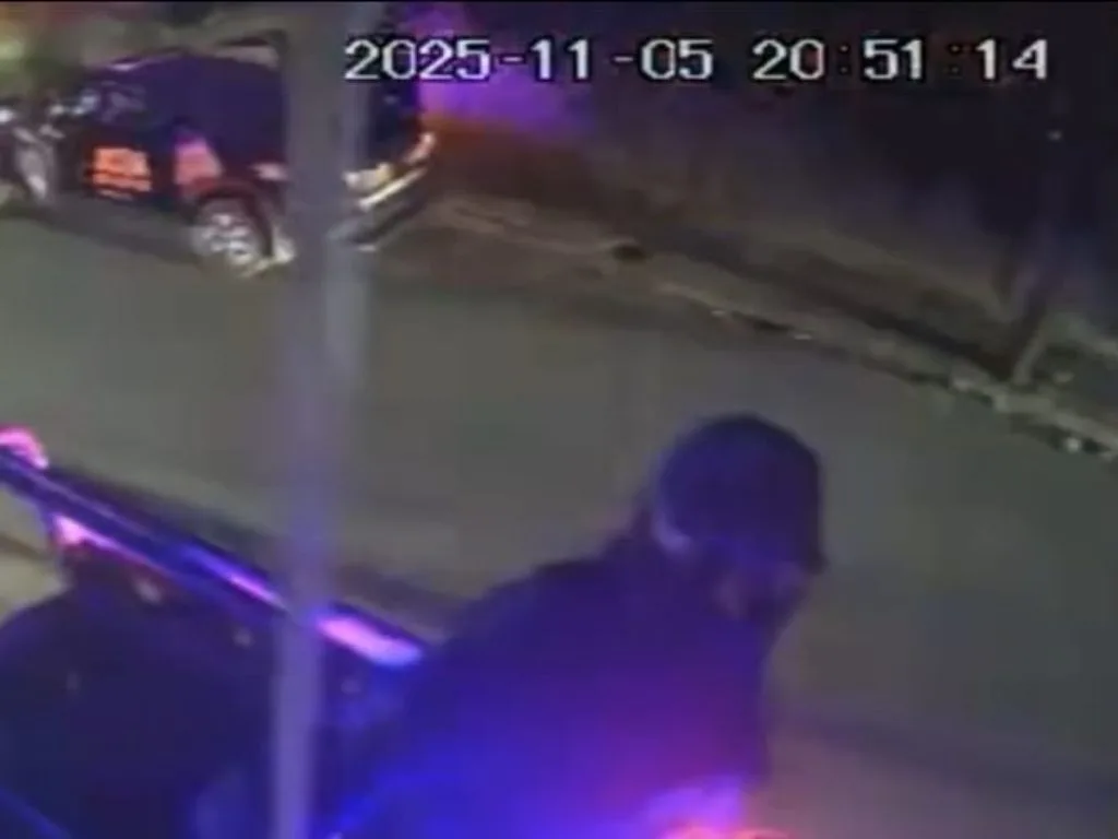 Breves informativas de estados