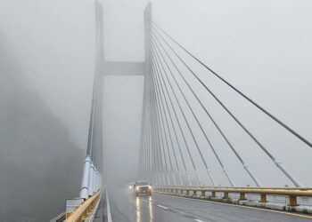 Carretera cubierta por densa neblina que reduce la visibilidad.