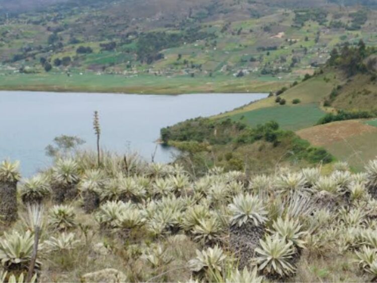 En Colombia, impulsan estrategias para conservar la biodiversidad
