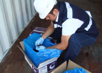 Impone México blindaje sanitario. AMEXI Foto Senasica