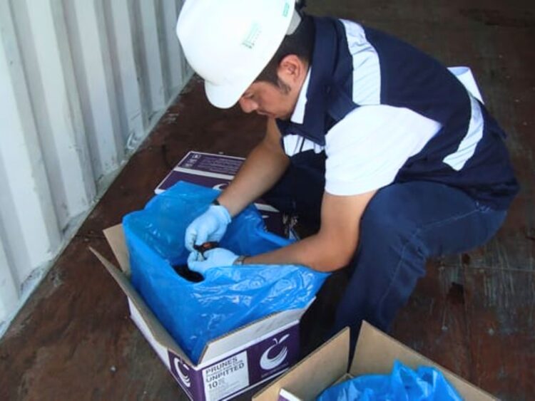 Impone México blindaje sanitario. AMEXI Foto Senasica