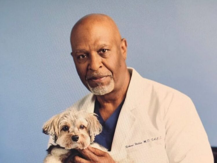 James Pickens Jr. interpretando al Dr. Richard Webber en Grey’s Anatomy, reflejando su papel icónico en la serie médica.