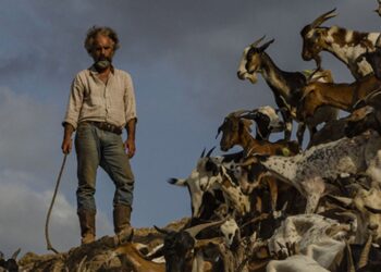 El director Jorge Hernández Aldana estrena “La sombra del Catire”