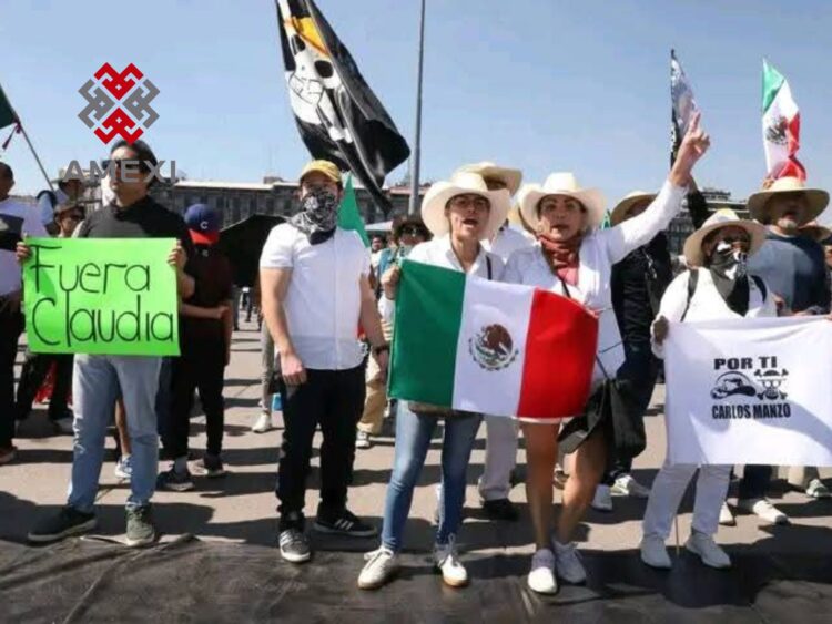 Sectores de la derecha y la ultraderecha participaron en la marcha de la Generación Z del 15 de Noviembre.