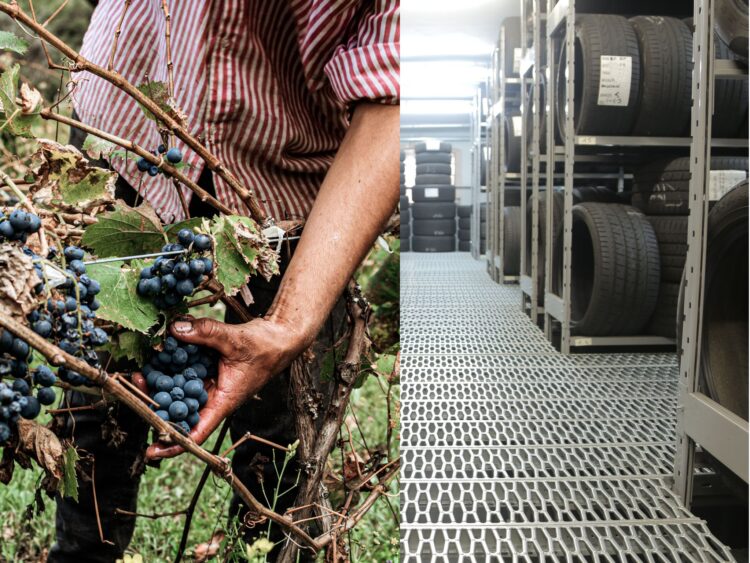 Llevan al Mecanismo de Respuesta Rápida del T-MEC dos nuevos casos de Jalisco y Querétaro