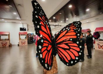 México cumplió con la mariposa monarca. Toca el turno a EU y Canadá. AMEXI