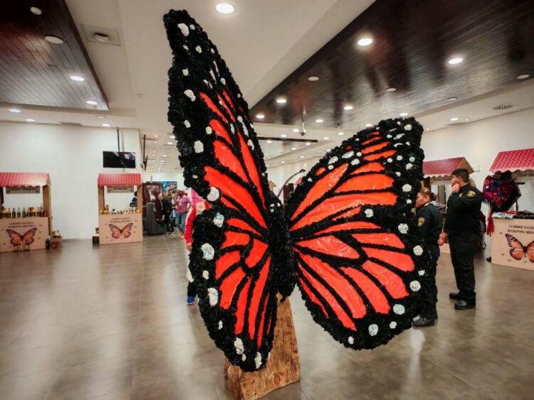 México cumplió con la mariposa monarca. Toca el turno a EU y Canadá. AMEXI
