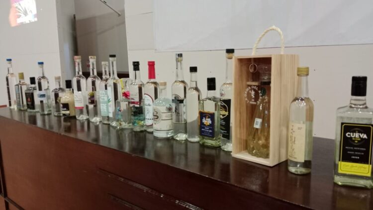 Mezcales mexiquenses triunfan en el Concurso Mundial de Bruselas