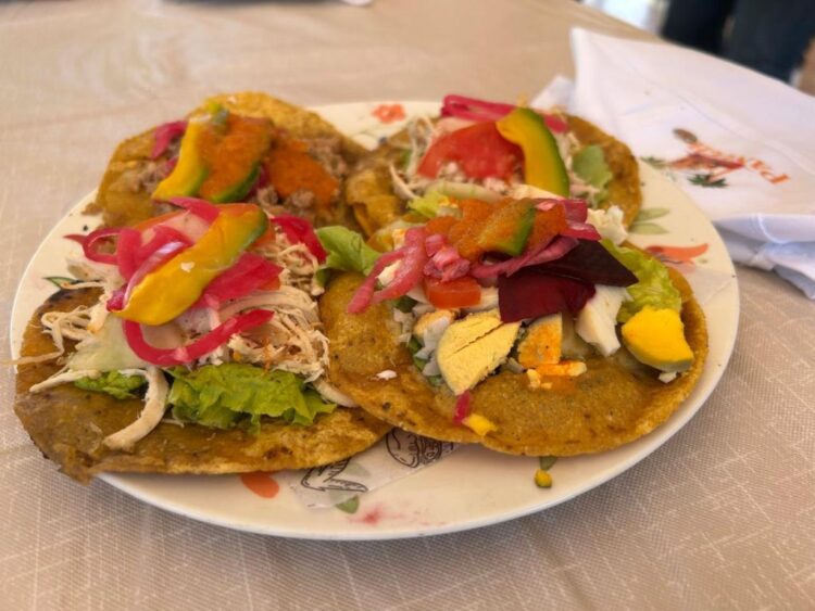 Panuchos, realizan en Mérida la Sexta Edición de la Feria del Panucho. AMEXI Foto especial