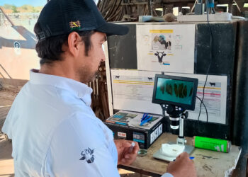 México-EU, sin acuerdo para la reapertura de la frontera ganadera