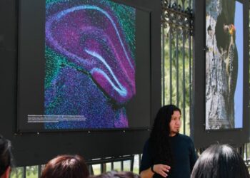Exposición de fotografía científica de la UNAM en las Rejas de Chapultepec, mostrando imágenes de biodiversidad y ciencia.