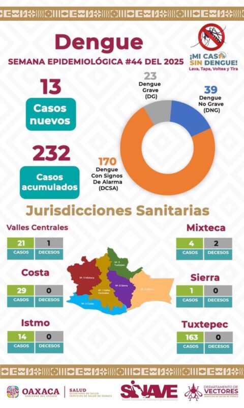 232 casos de dengue en Oaxaca: 3 muertos