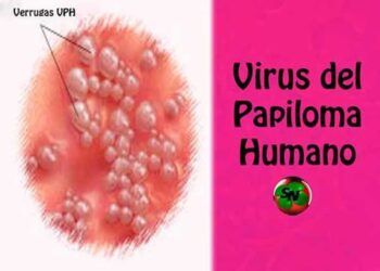 Esquema de vacunación contra el Virus del Papiloma Humano en infancias, ¿es efectivo?