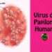Esquema de vacunación contra el Virus del Papiloma Humano en infancias, ¿es efectivo?