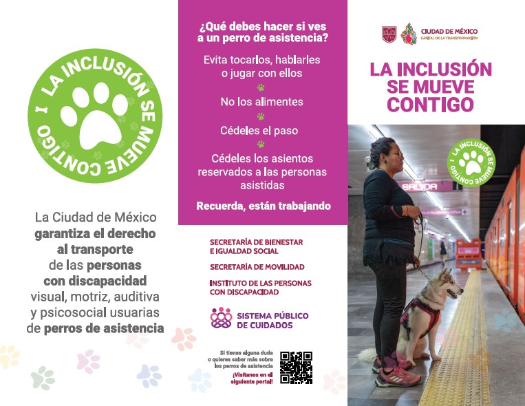 Proteger a los perros