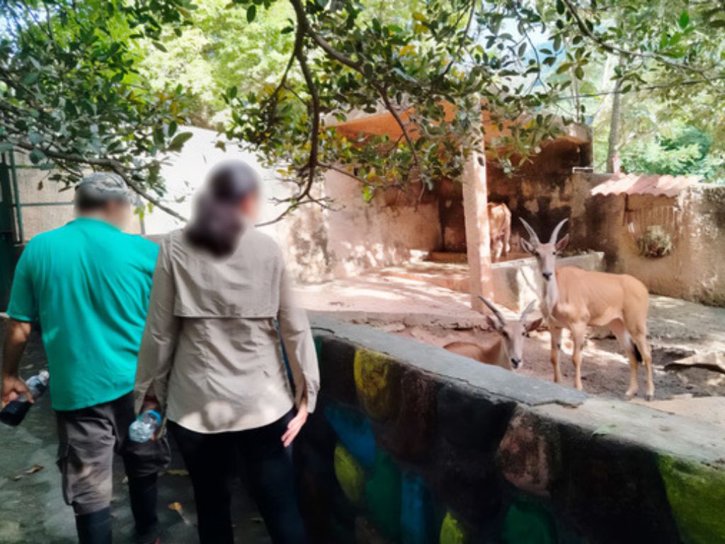 Zoológico de Puerto Vallarta
