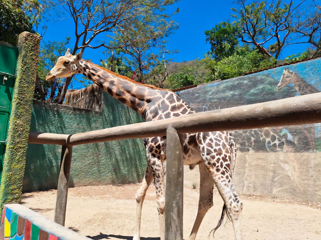 Zoológico de Puerto Vallarta