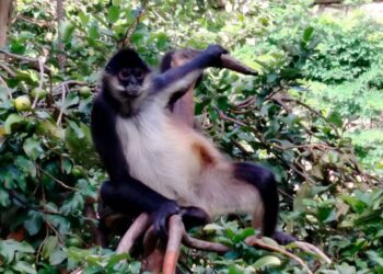 Zoológico de Puerto Vallarta