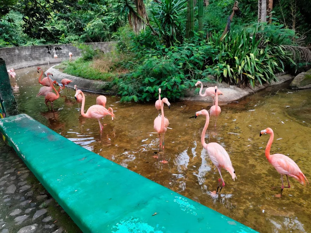 Zoológico de Puerto Vallarta