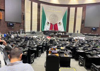 cárcel a quienes incurran en delitos ambientales