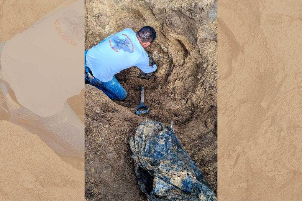 Estadio de Guadalajara