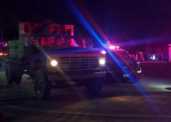 tala ilegal en Santa Catarina