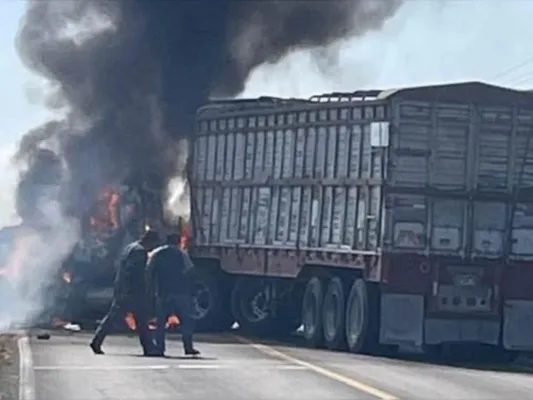 violencia en Michoacán