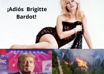 Radar informativo 29 dic. 2025