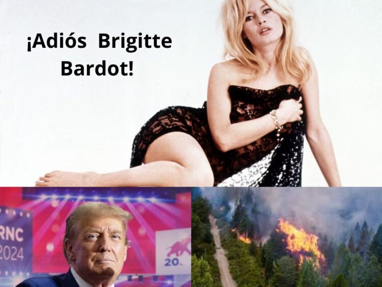 Radar informativo 29 dic. 2025