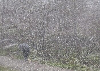 Frente frío 24 traerá lluvias intensas, vientos fuertes y posible caída de nieve | AMEXI/FOTO: RRSS