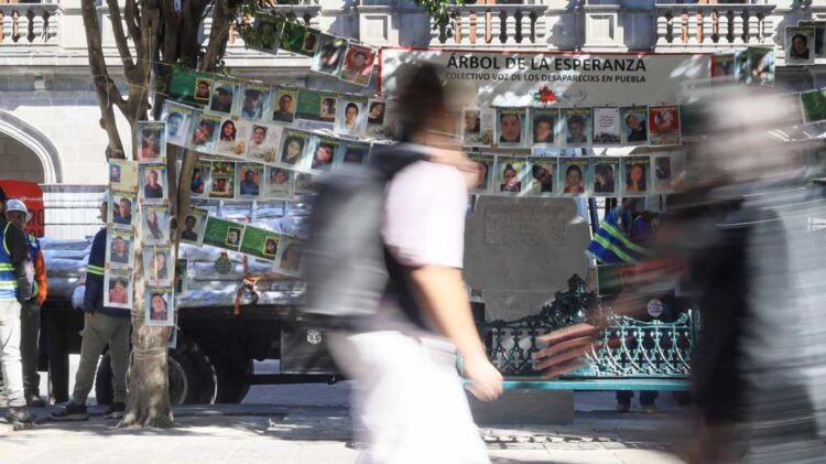 El Árbol de la Esperanza en Puebla clama por los desaparecidos