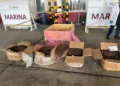 Aseguran en el puerto de Veracruz 96 kilos de ingrediente activo en la Ayahuasca