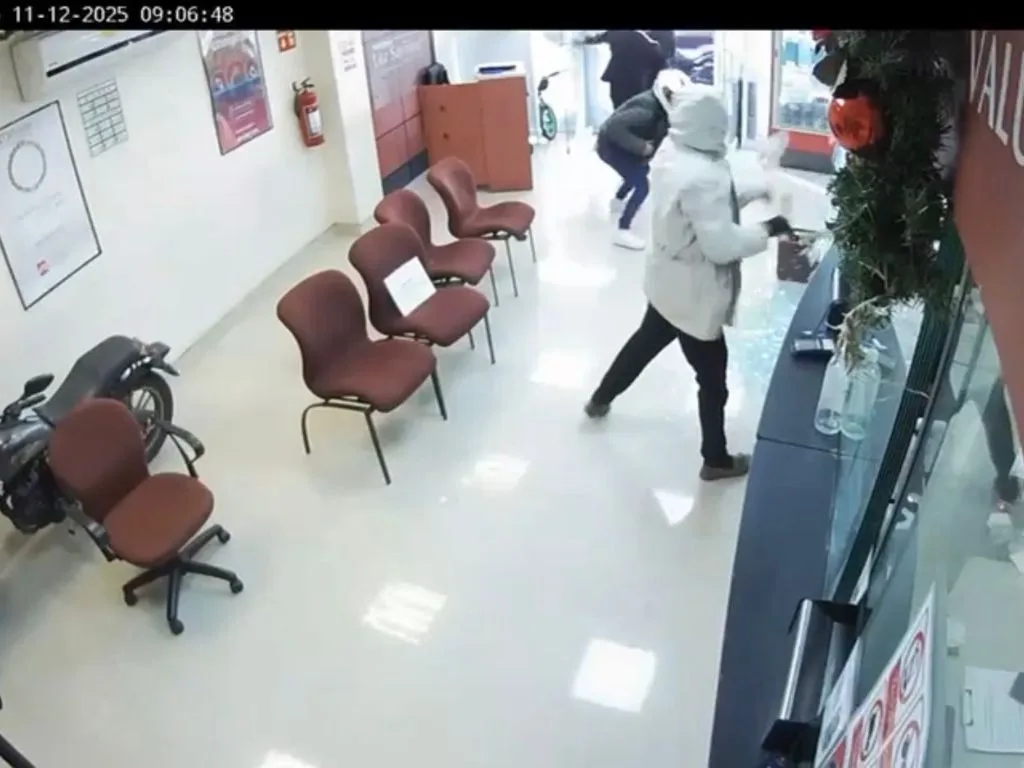 Breves informativas de los estados