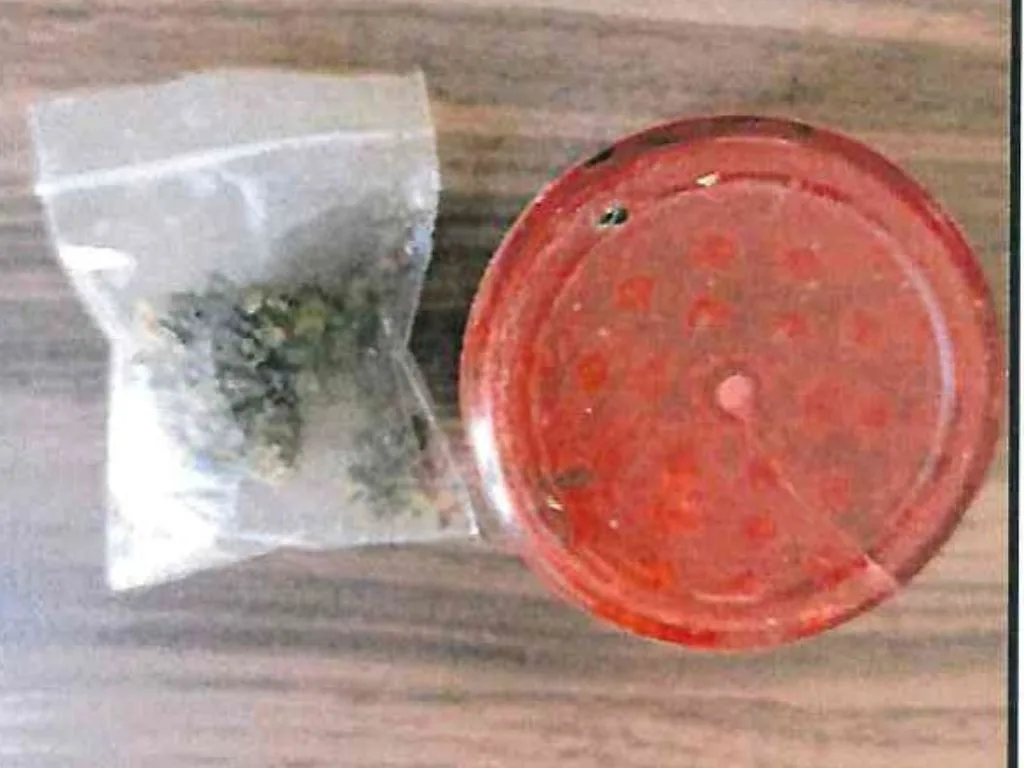 Breves informativas de los estados