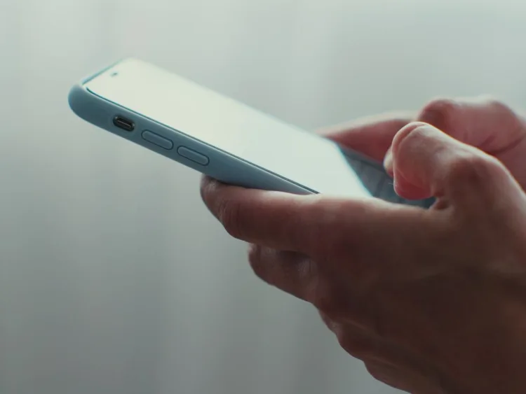 Breves informativas de los estados