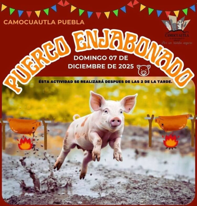Cancelan en Puebla evento de "cerdito enjabonado" por maltrato animal
