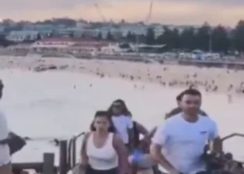 México condena ataque en Sídney y envía condolencias a familias afectadas