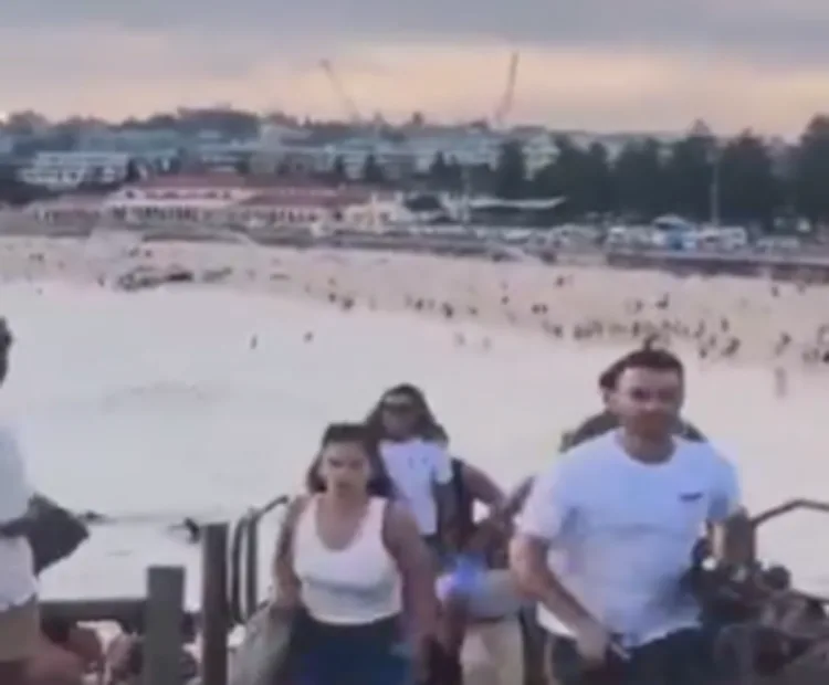 México condena ataque en Sídney y envía condolencias a familias afectadas