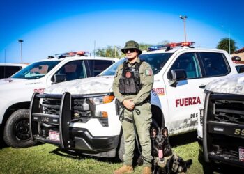 Decomisan en Baja California más de 470 armas y captura a 10 objetivos clave en 2025