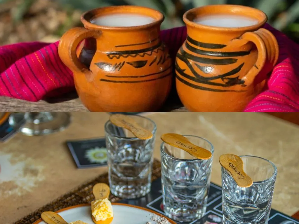 El Tianguis del Pulque y la Cerveza Artesanal